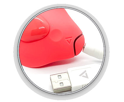 COMPANION MASSAGER'S USB CHARGING CABLE